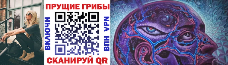 Купить где  Реутов  Псилоцибиновые грибы прущие грибы 