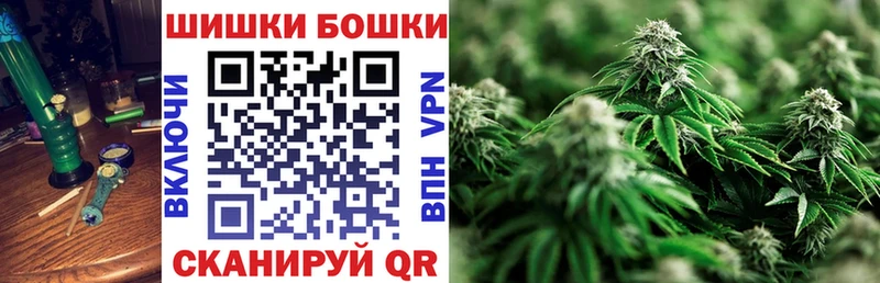 Купить закладки  Реутов  Бошки Шишки сатива 